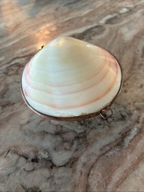 Genuine Clam Sea Shell Brass Hinged Jewelry Mermaid Trinket Box Coin Purse
